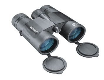 Binocular Bushnell 10x50