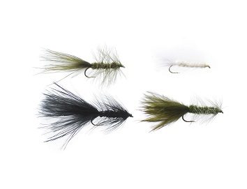 Cortland Woolly mosca